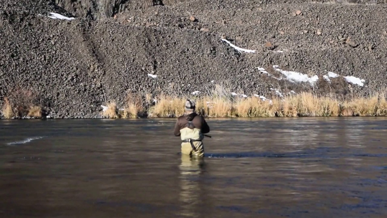 Skagit Lines and Sink Tips for Casting Big Ugly (heavy) Flies.