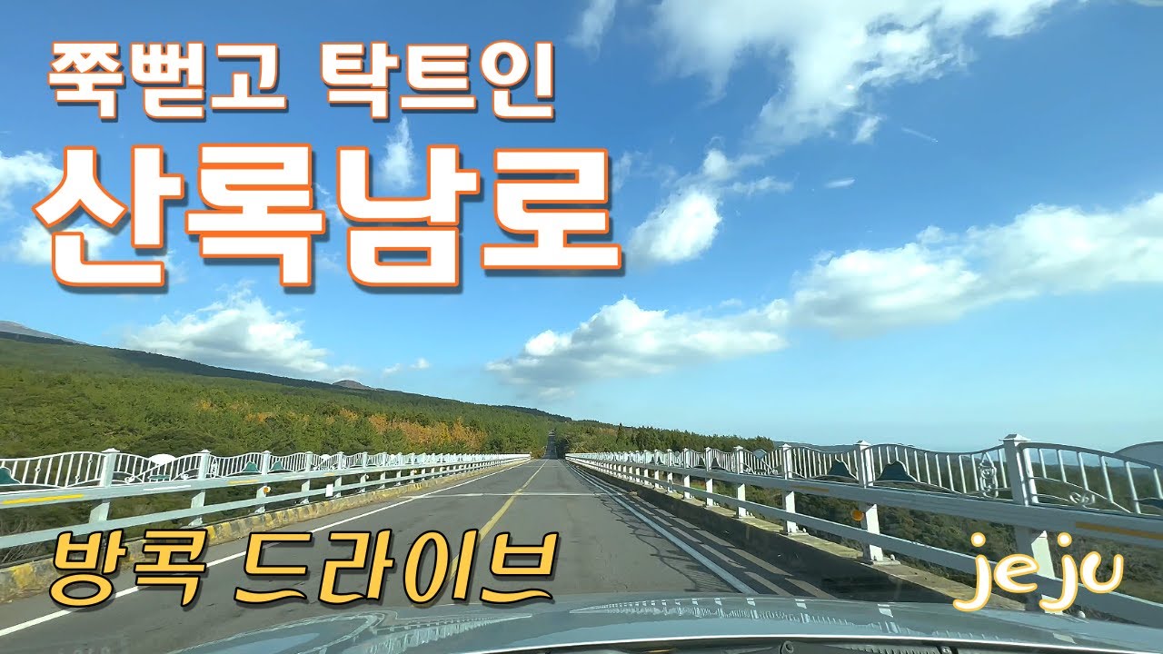 제주도 산록남로_4k, 가장 제주스러운 도로, 멍때리고  보는 드라이브 영상