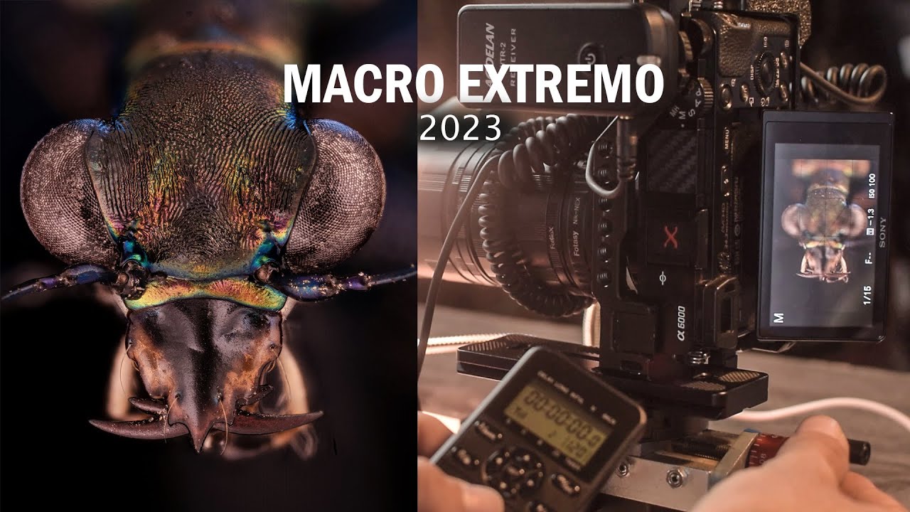 FOTOGRAFÍA MACRO EXTREMO | Nuevo setup 2023 paso por paso