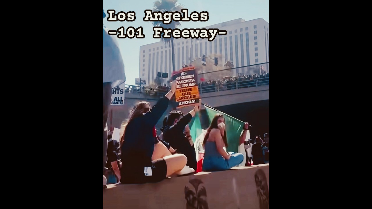 Scenes from the 101 #protests #abolishice #losangeles #protesters #noice #supportimmigrants