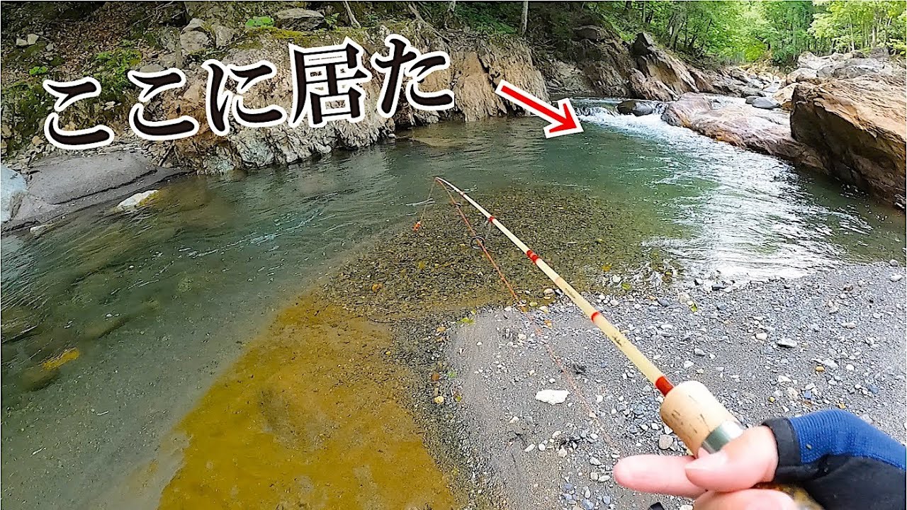 新作のフローティングミノーを使ってみたらまさかの凄いお魚さんが… 【北海道 渓流ルアーフィッシング】  Hokkaido. Mountain Stream Lure Fishing.