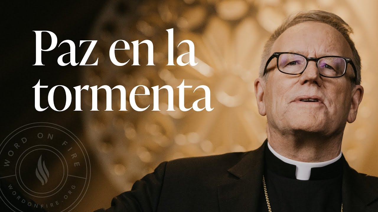 Paz en la tormenta - Sermón del Domingo del obispo Robert Barron