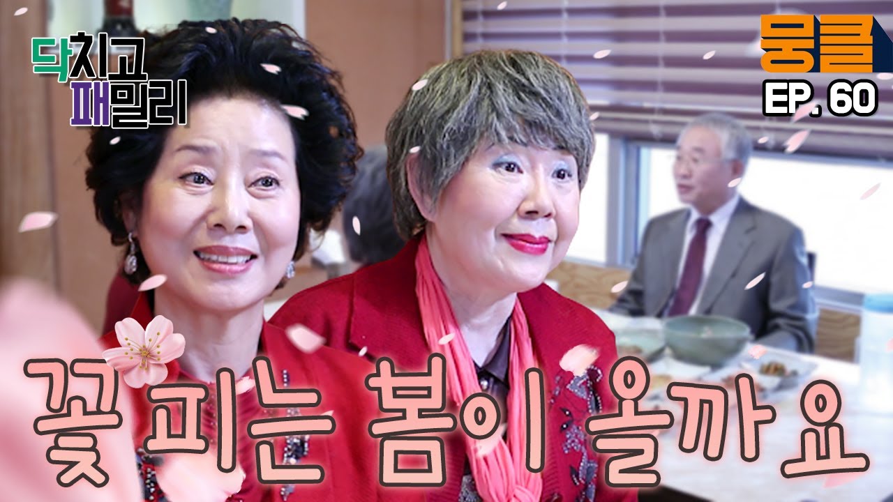 [닥치고 패밀리 ＃60] 💥대반전주의💥 두 할머니에게 꽃피는 봄이 온다?! 선우용녀,남능미를 심쿵하게 만든 사람은 누구?!