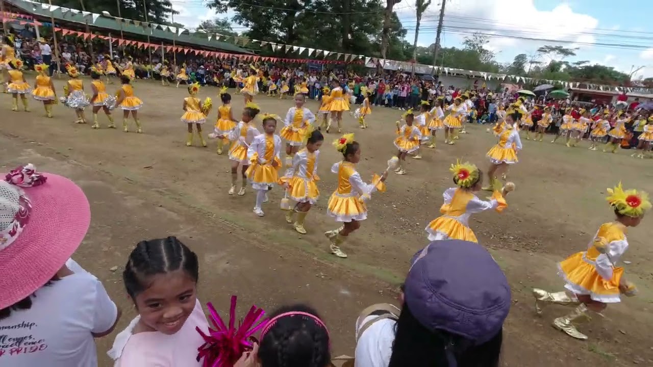 Damilag Integrated School Drum and Lyre - 5th Foundation Day