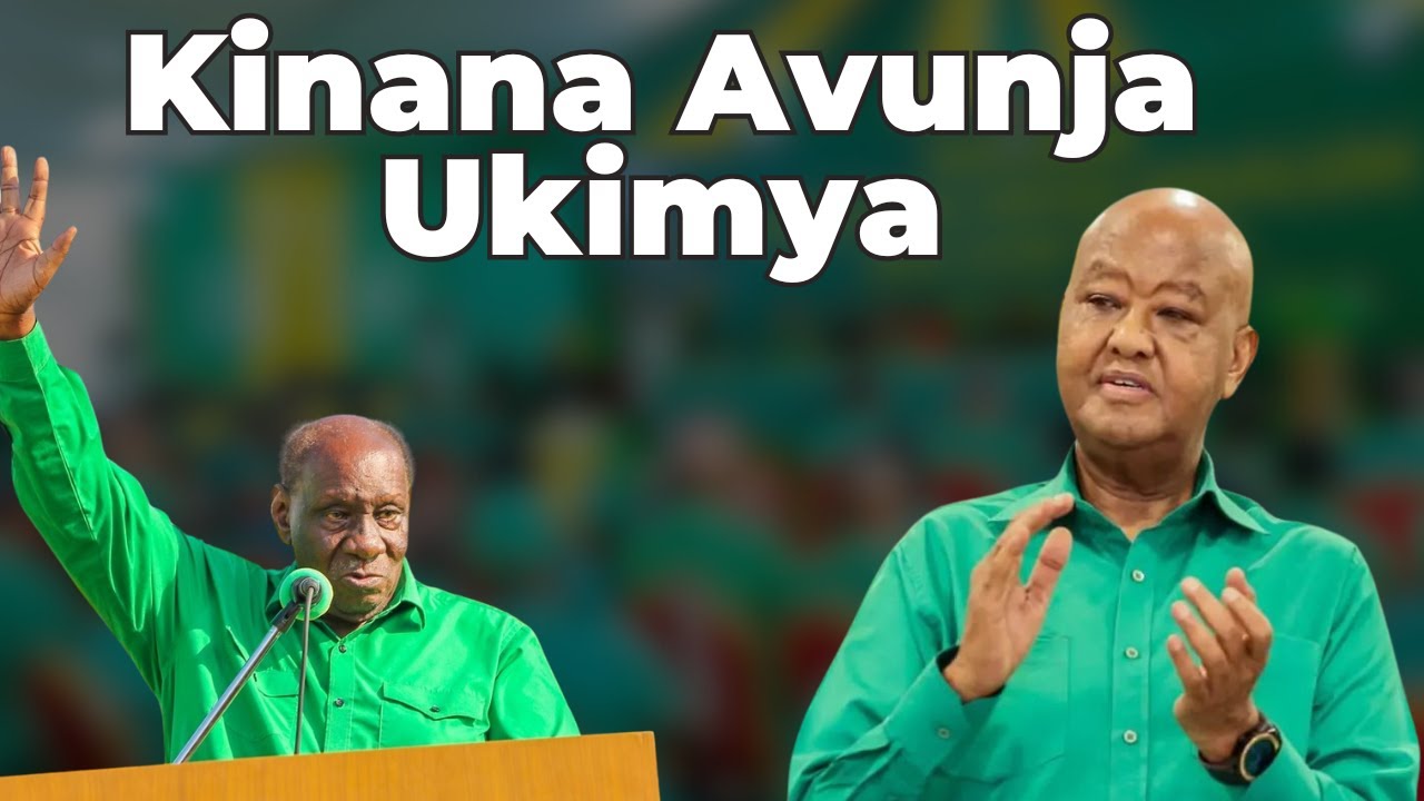Kinana Avunja Ukimya: 'CCM Inaheshimika na Watanzania, Wassira ni Mzalendo'