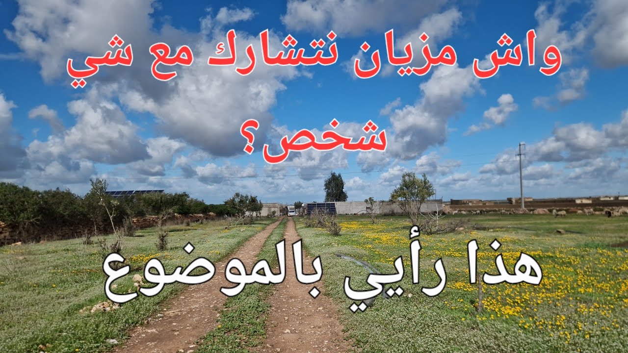 الحلقة740.🌱🐏🐓 هذا لي لازم تعمله اذا بغيتي تشارك شي واحد و انت غايب  في اي مجال 