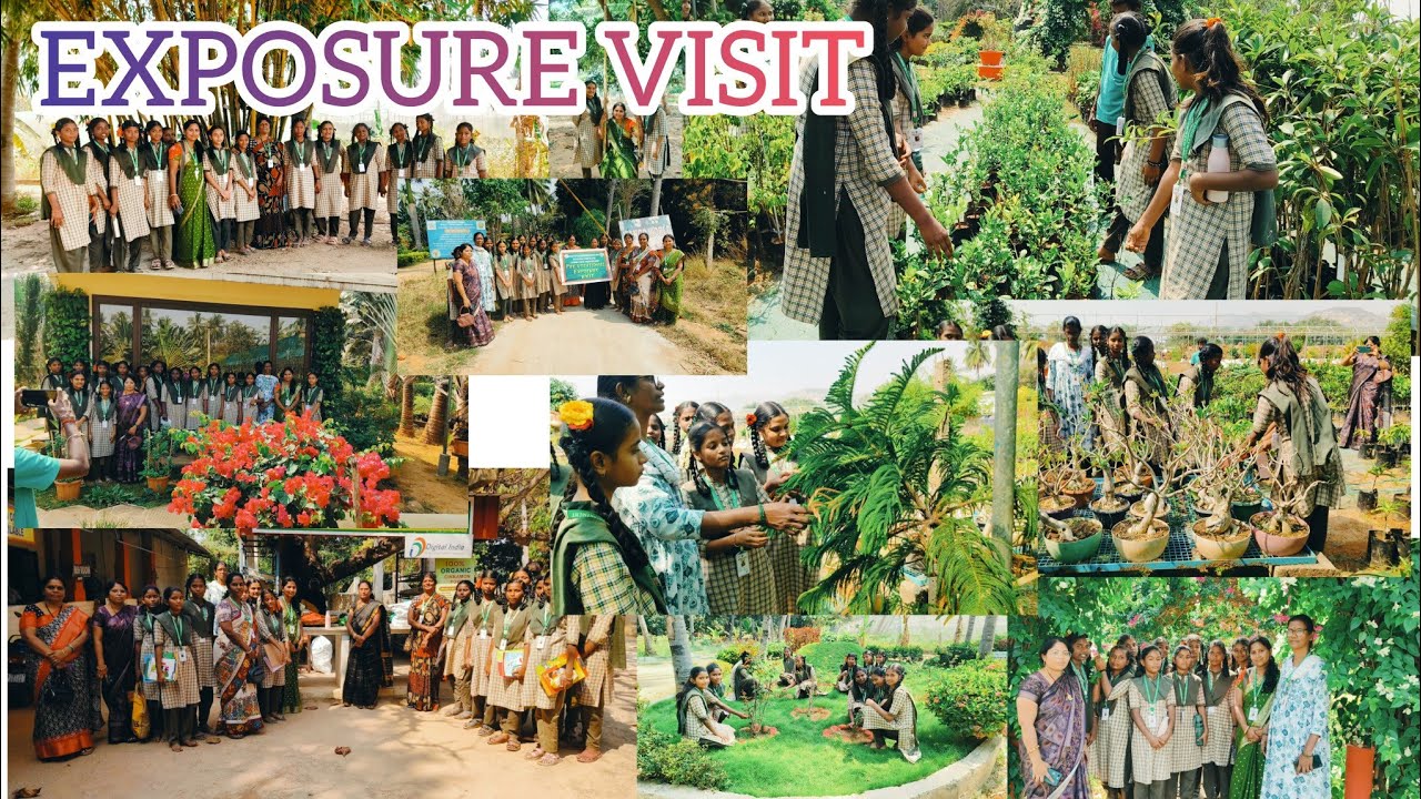 Экскурсия в мир манго / питомник растений / выращивание растений / органическое земледелие / прир...