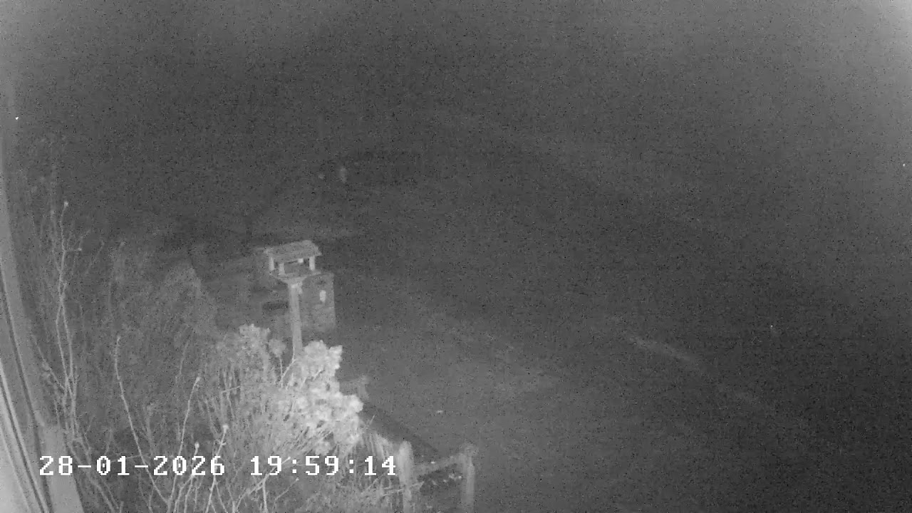 DSGC Cam 1 - Facing SouthEast