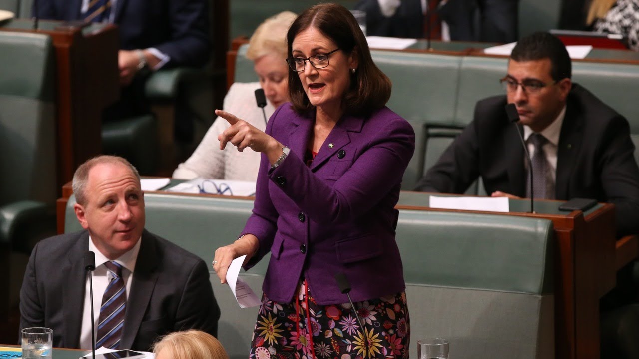 'I don't support a quota system in the Liberal Party': Sarah Henderson