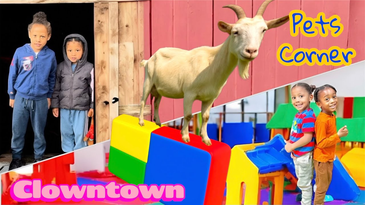 From Pets’ Corner to Clown Town! The Ultimate Fun Day | D and A Kids Show