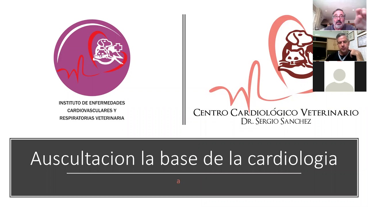 Auscultacion Cardiaca