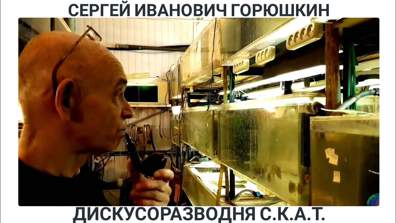 Дискусы и скалярии московской разводни С.К.А.Т. Интервью с Сергеем Ивановичем Горюшкиным.