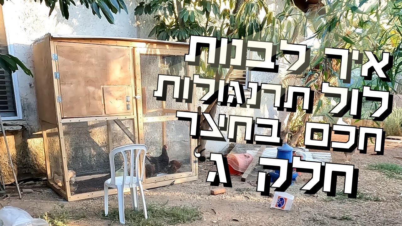 איך לבנות לול תרנגולות חכם בחצר - חלק ג' ואחרון