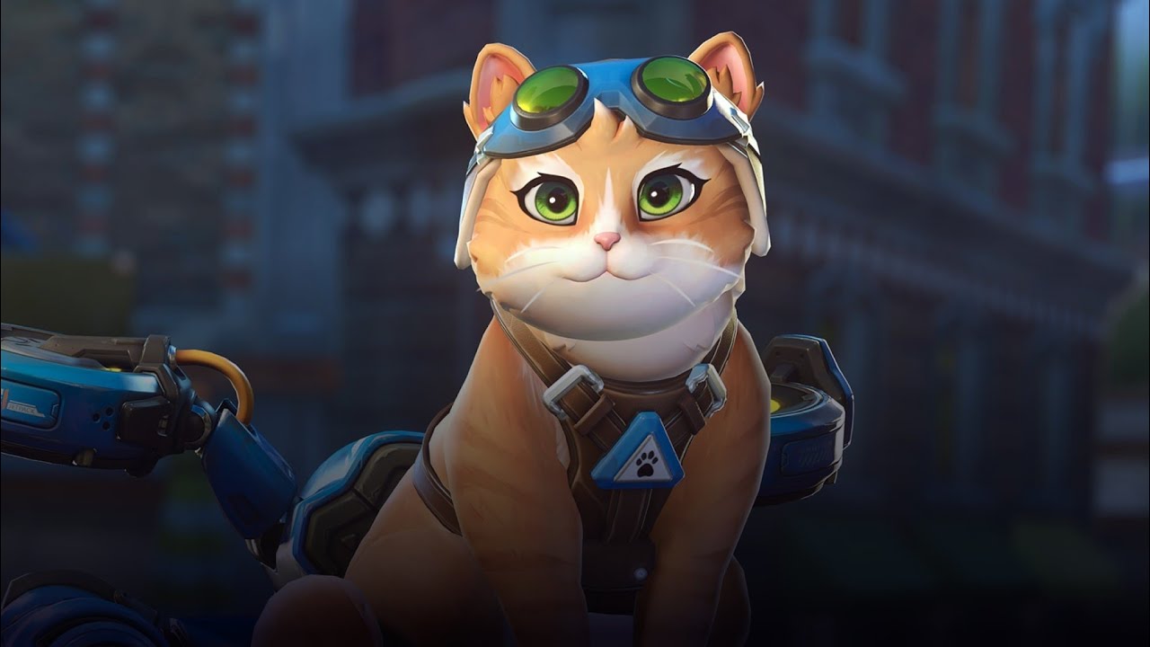 Trying out Jet pack cat and zen 🥰 JETPACK CATTT