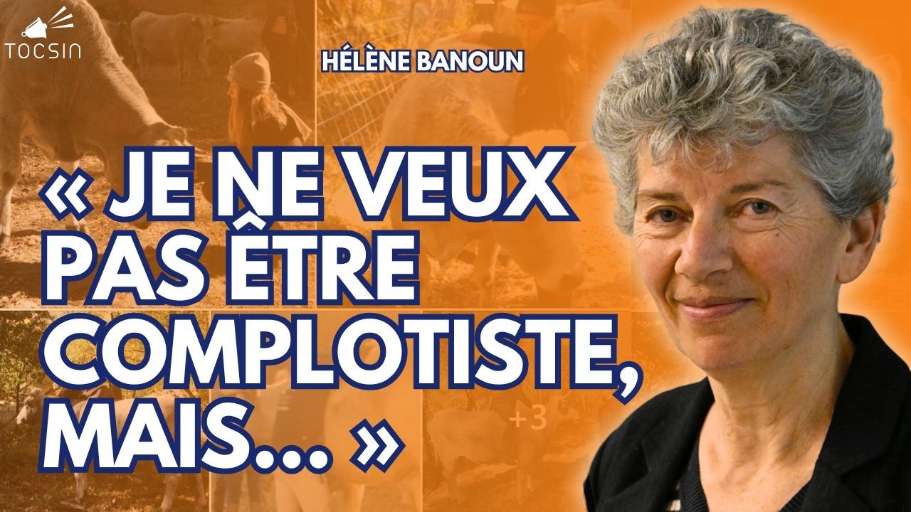 Dermatose nodulaire : des int&eacute;r&ecirc;ts cach&eacute;s derri&egrave;re les abattages massifs de bovins ? - H&eacute;l&egrave;ne Banoun