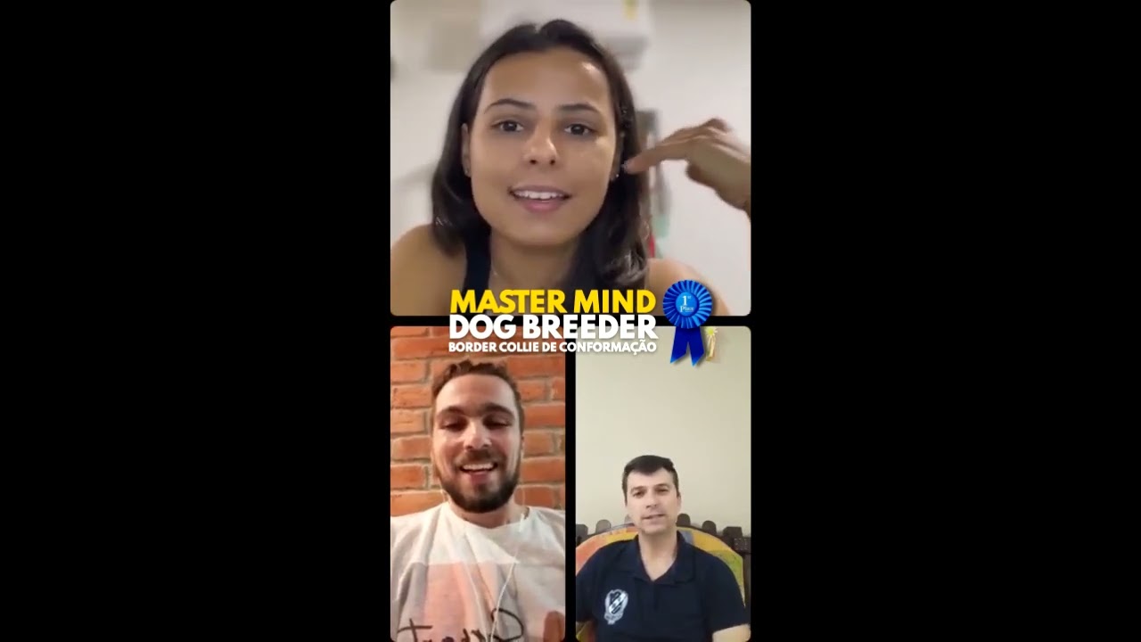 MASTER MIND DOG BREEDER - BORDER COLLIE DE CONFORMAÇÃO - curso para criadores