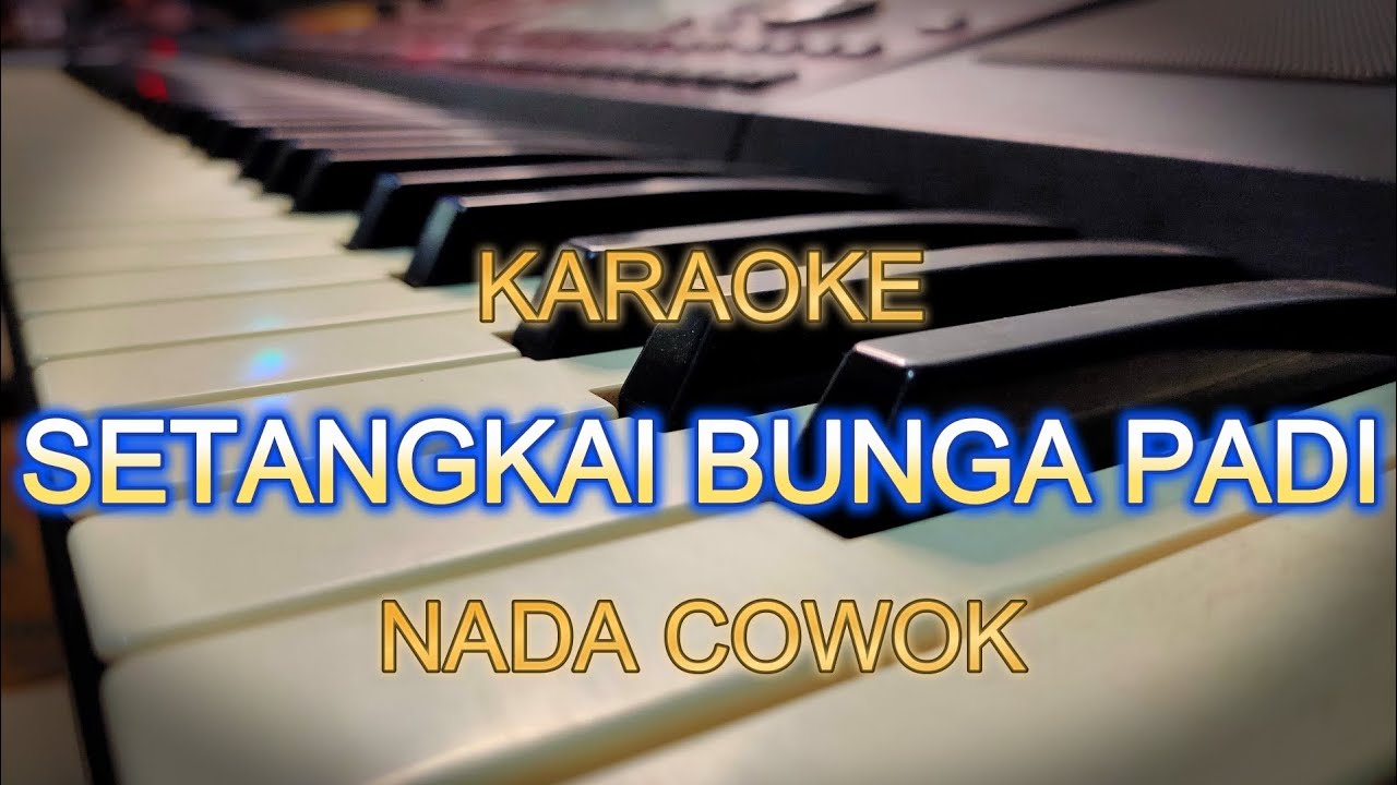 SETANGKAI BUNGA PADI KARAOKE NADA COWOK