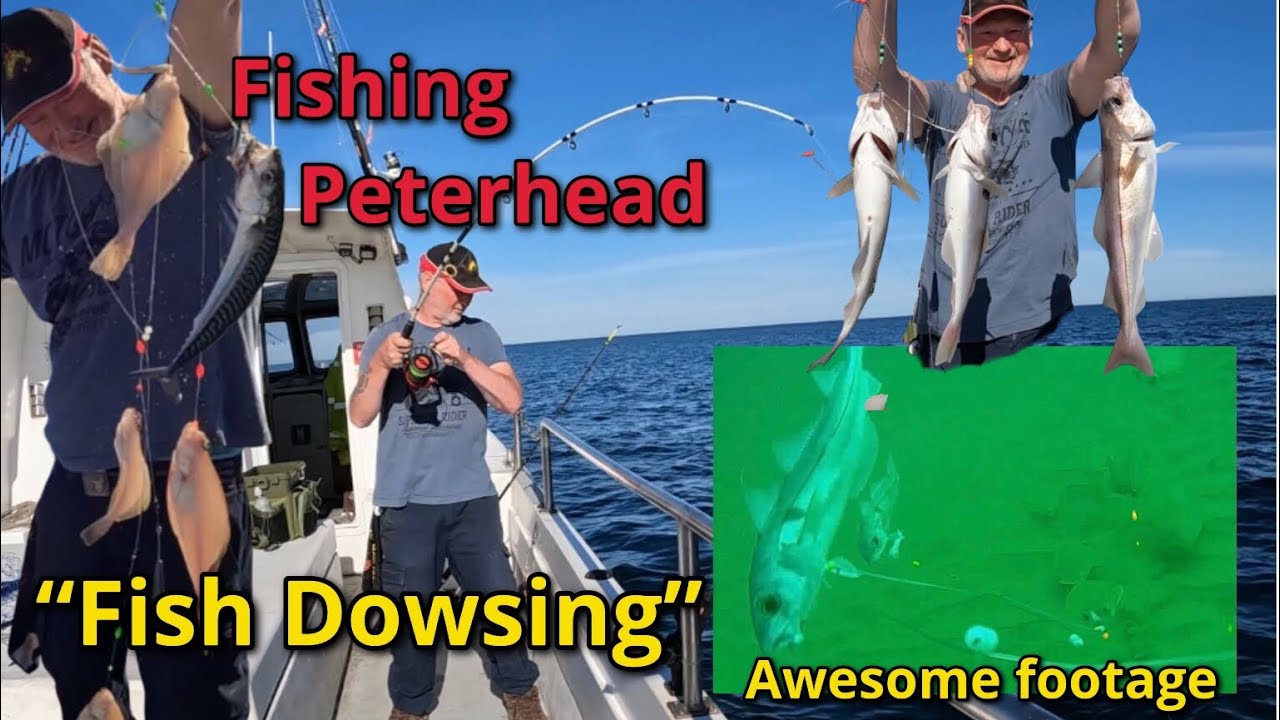 Awesome Boat fishing: Peterhead: North East: Aberdeenshire Coast: Haddock: Mackerel: Dab: 🎣🐟🐟🐟