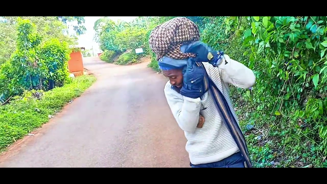 The cold front in Jamaica 🇯🇲 #vairalvideo #unseentalents #funny 