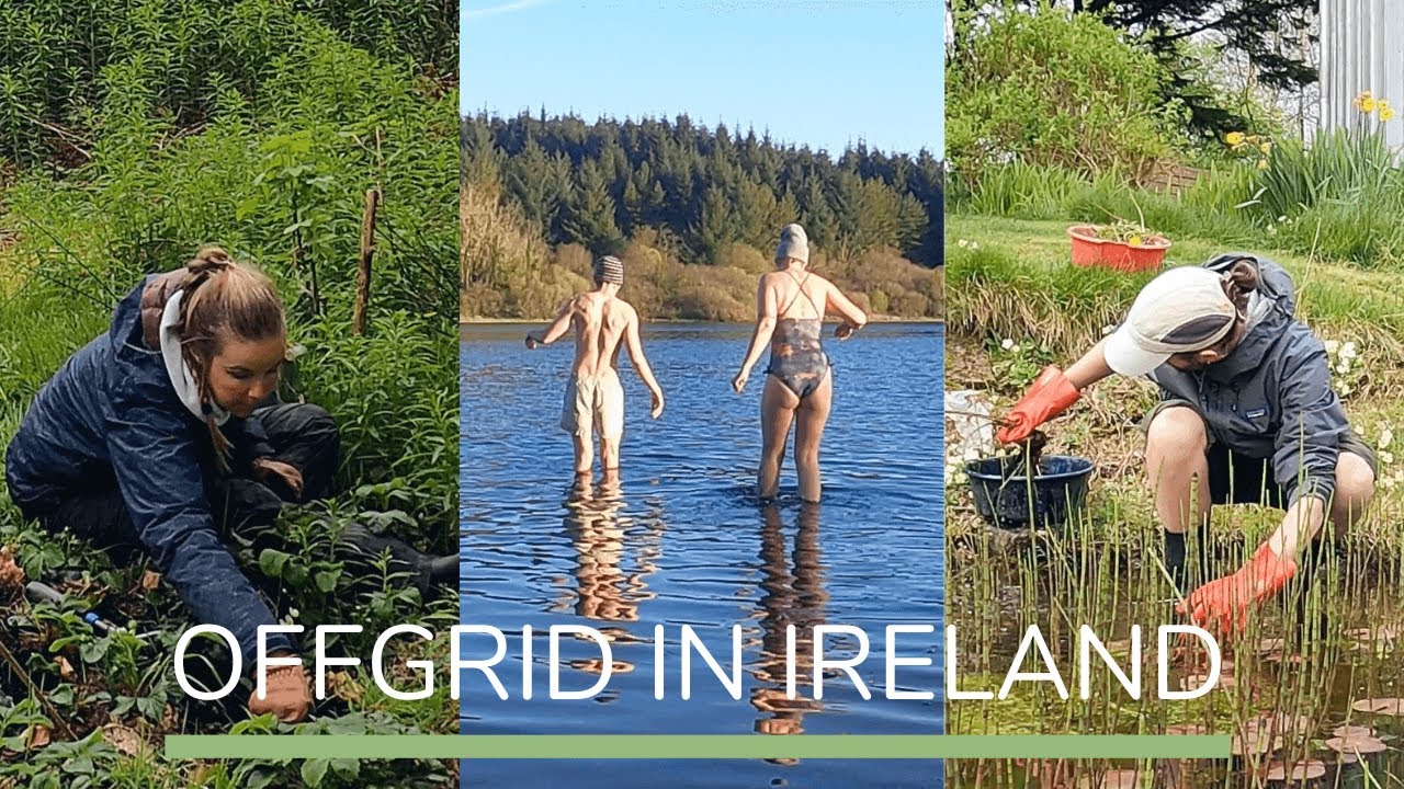 Volunteering Offgrid in Ireland | Rewilding a bog over 30 years