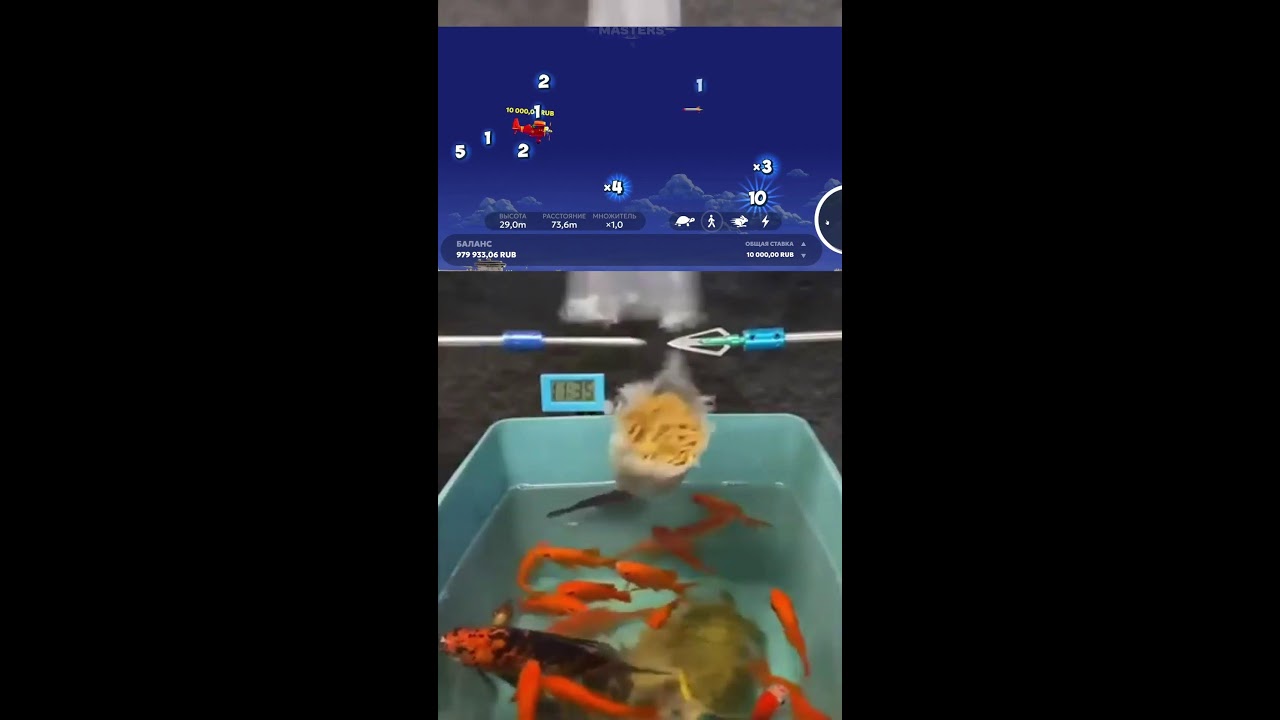 Livestream von klingor