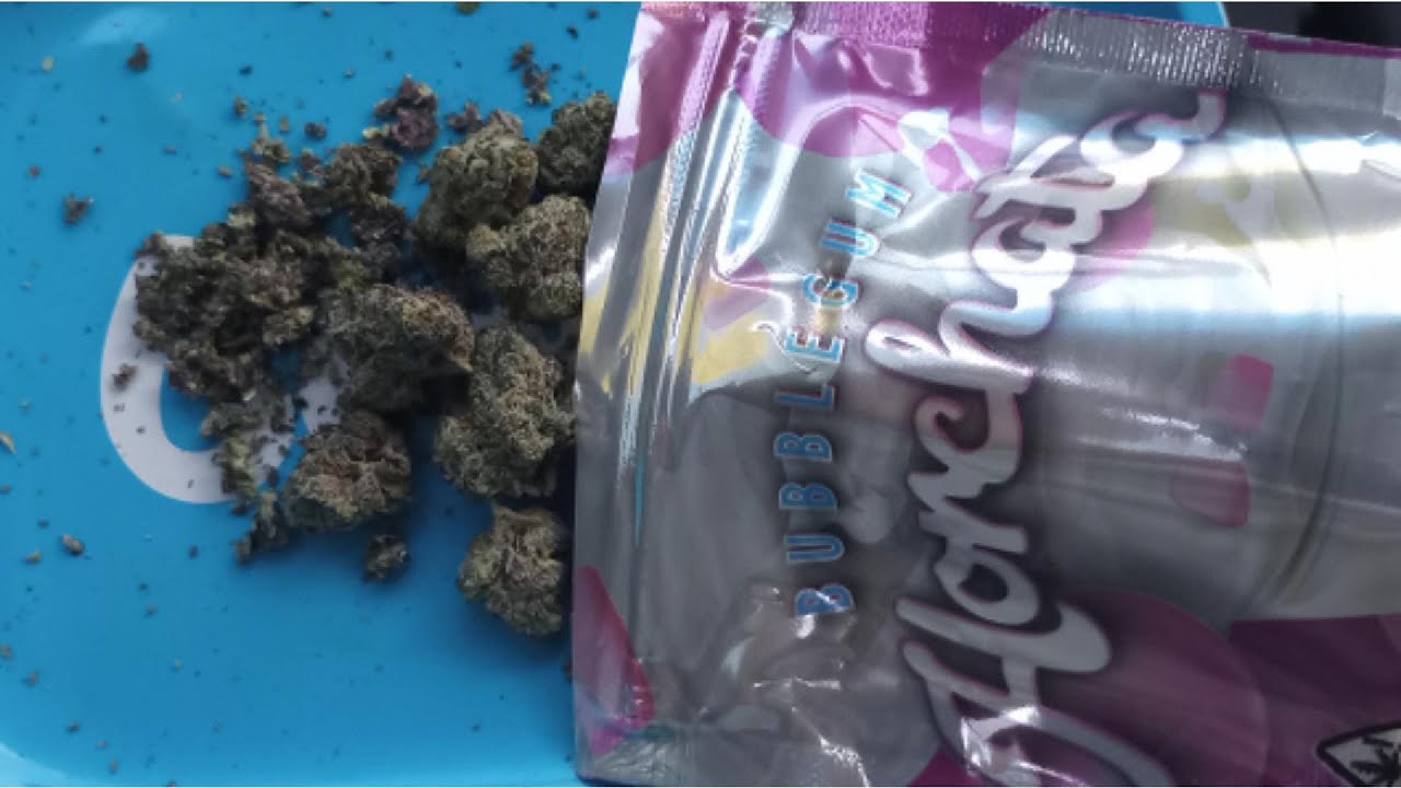 Bubblegum Horchata flower Review