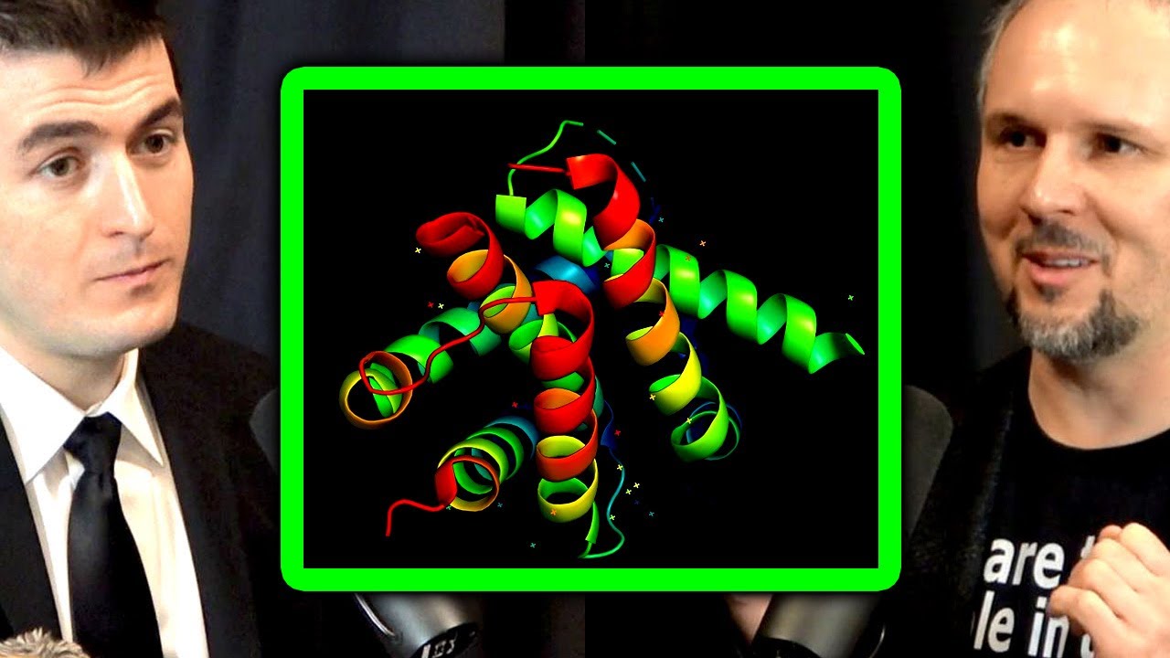 AlphaFold 2 is amazing but protein folding is still not solved | Dmitry Korkin and Lex Fridman