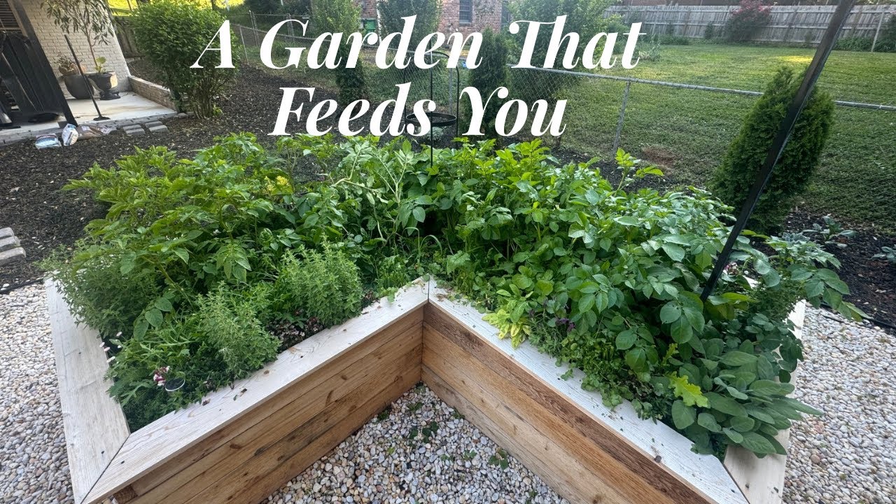 What I’m Planning for my 4-Raised Bed Gardens to Make Juices, Salads, Soups & Seasonal Meals