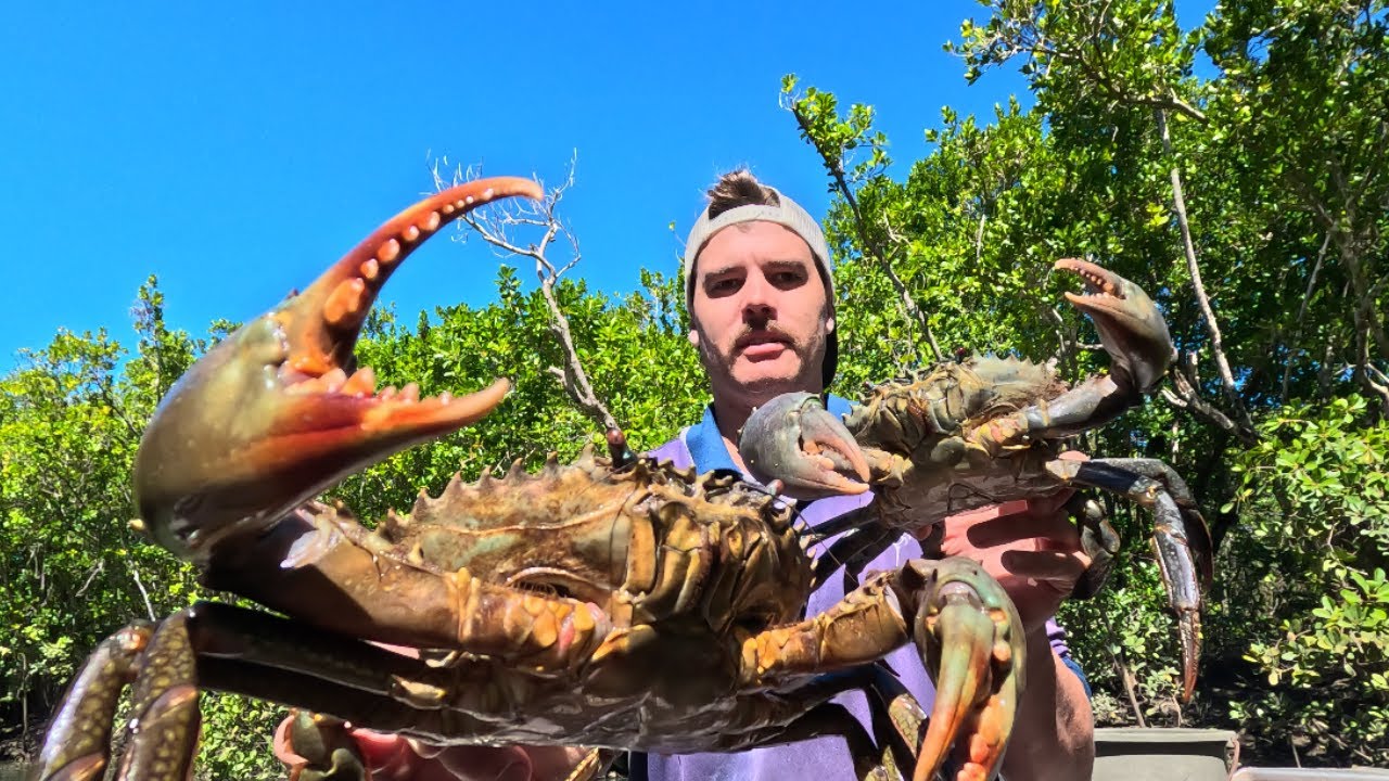CATCHING WINTER MUD CRABS