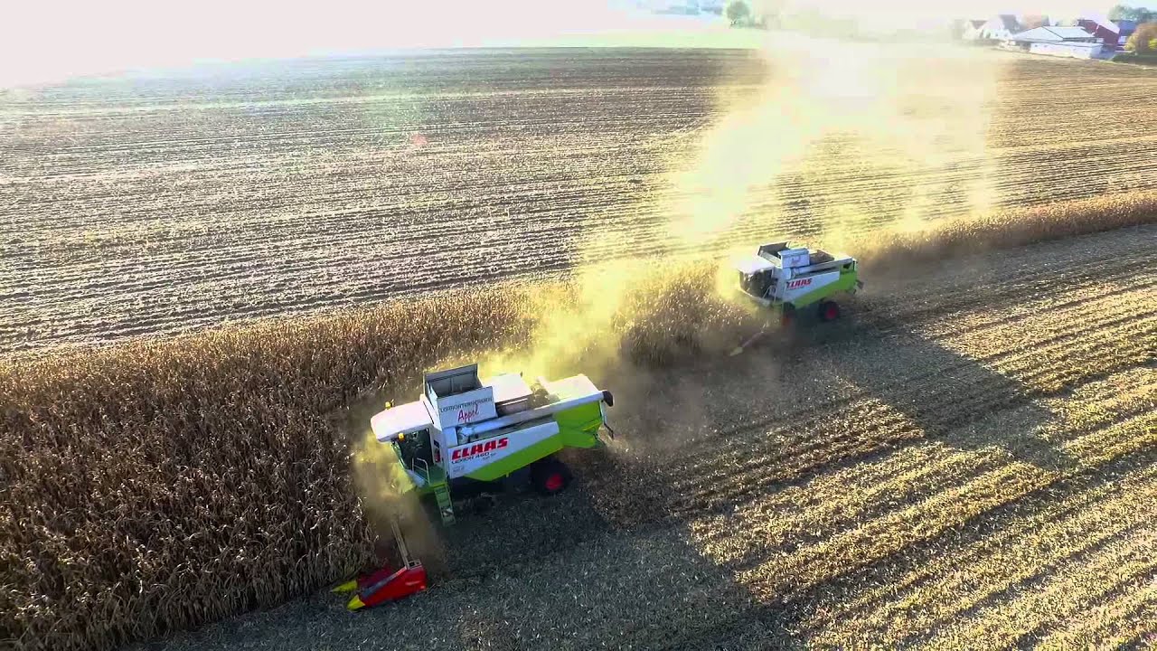20 Reihen - 2x Claas Lexion Maisdreschen mit Lohunternehmen Appel - Corn harvest