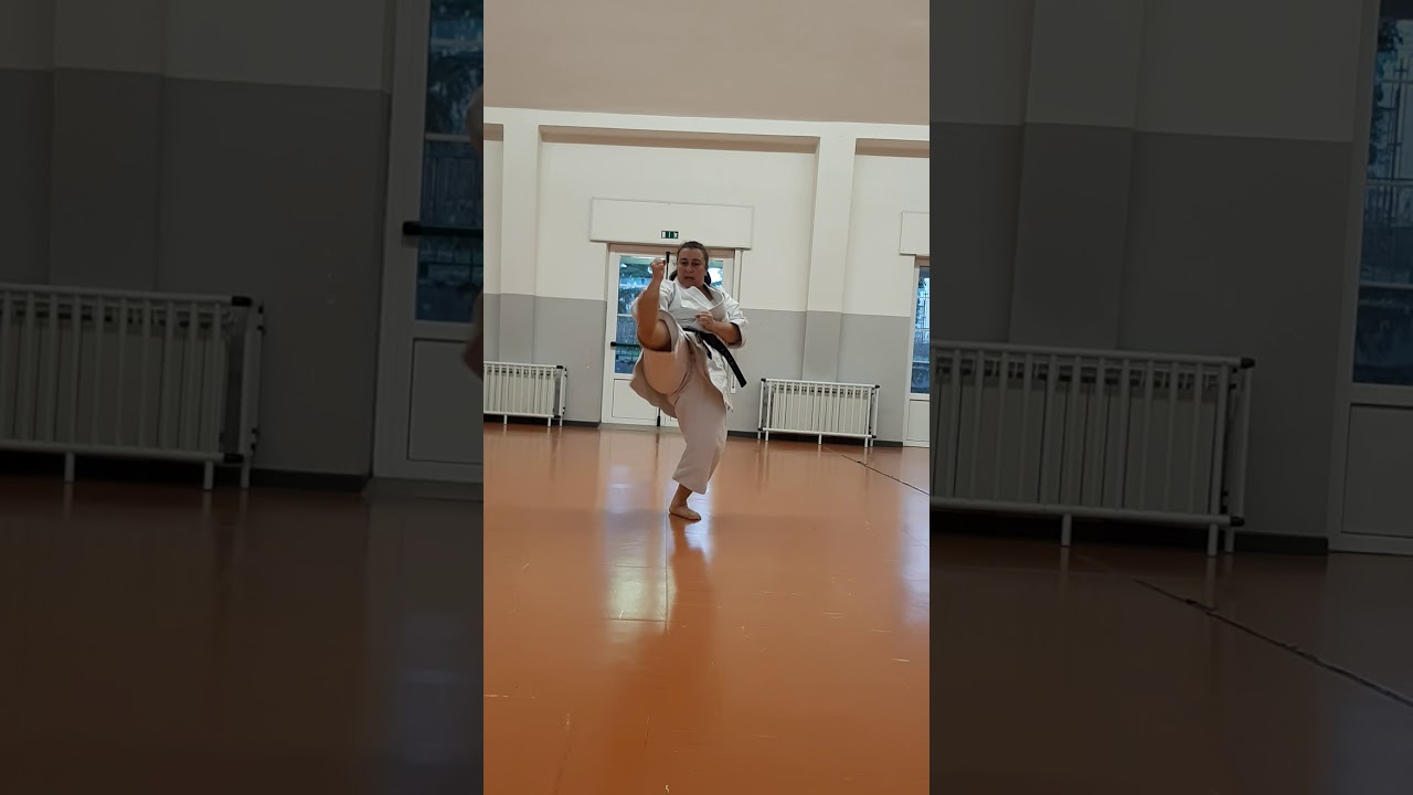 PROGRAMMA ESAME asd.dai shin do - da cint. GIALLA a cint.ARANCIONE