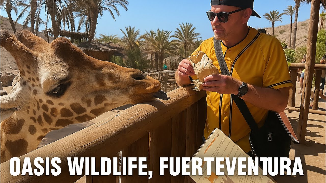 A day out at Oasis Wildlife Park Fuerteventura where we feed loads of animals, including Giraffes