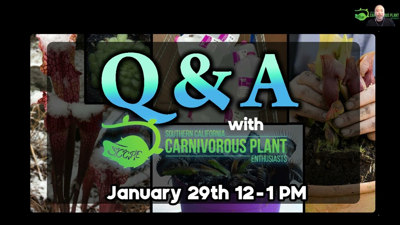January 2022 SCCPE Q&A With Officers