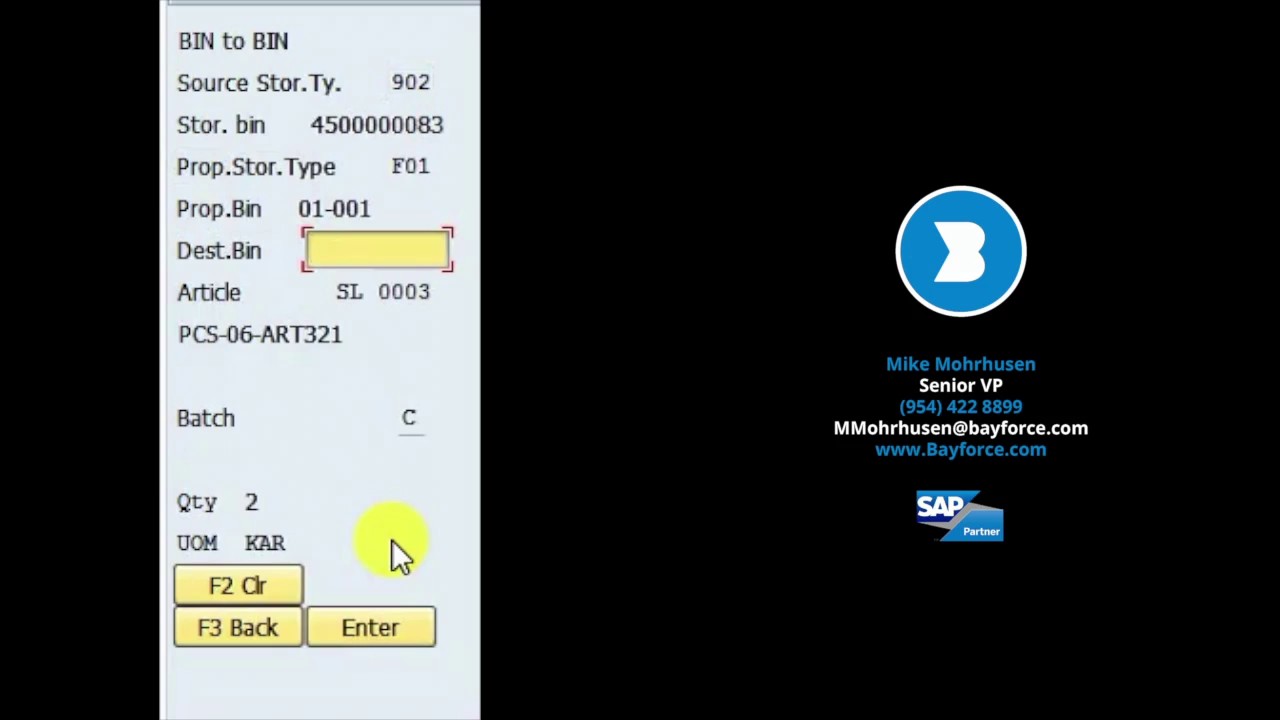 RF Transaction Bin to Bin by Material Demo