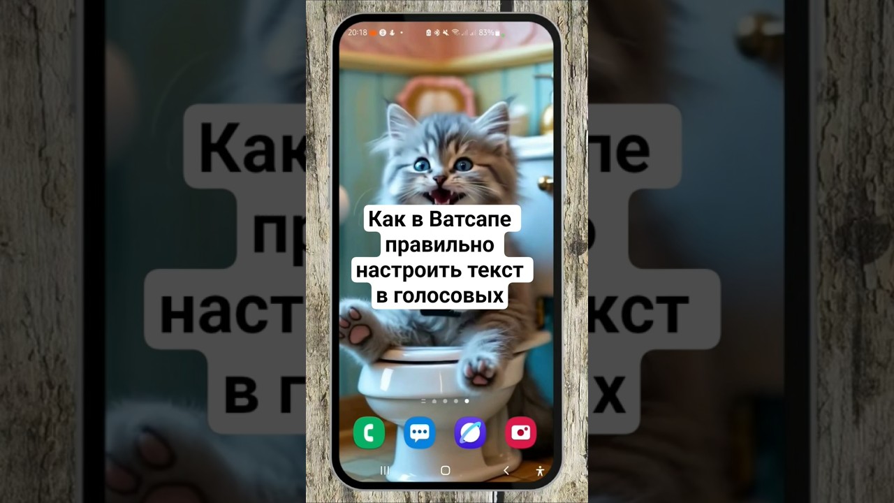 Как в WhatsApp включить текст в голосовых сообщениях #фишкиватсапа