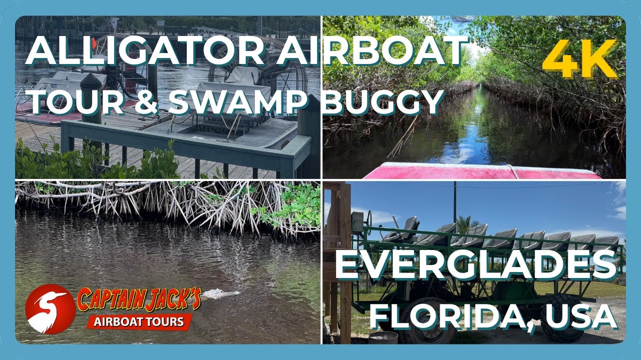 ALLIGATOR AIRBOAT TOUR | Captain Jack's AirBoat Tour | Wooten's Swamp Buggy | Everglades | Florida