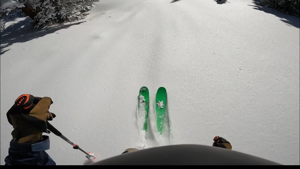 Ski Powder Day