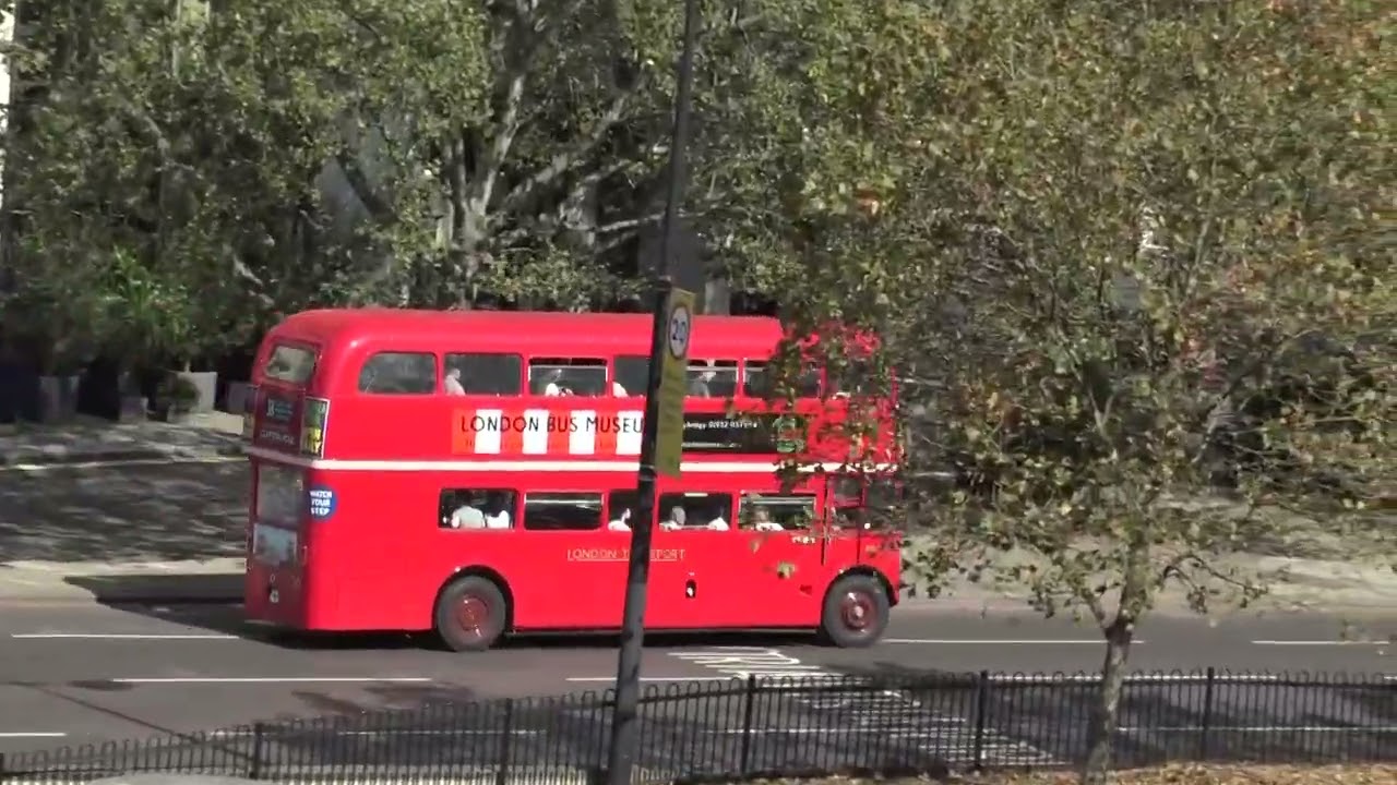 Route 38 running day