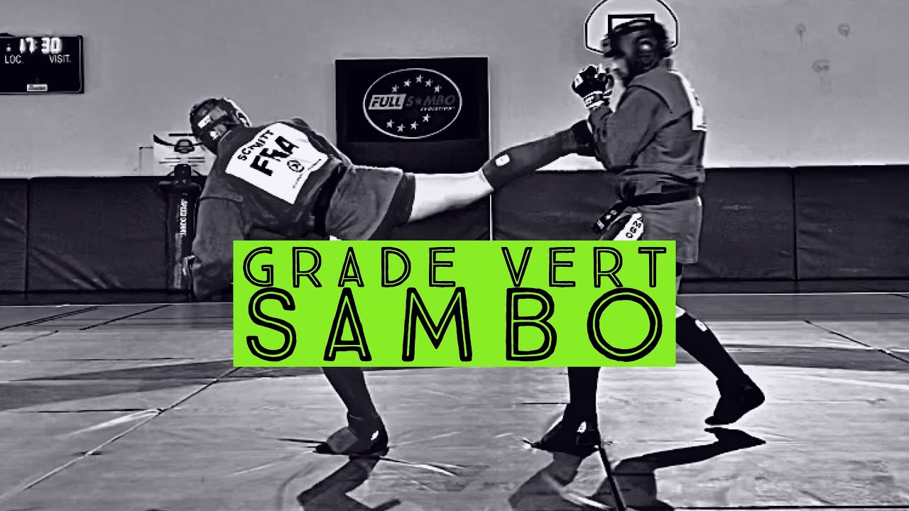TECHNIQUES SAMBO - CEINTURE VERTE