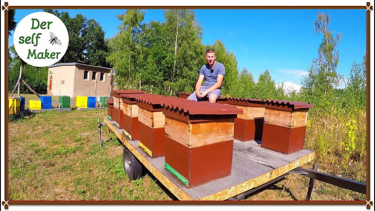 Bienen Ableger bilden - aber wie?
