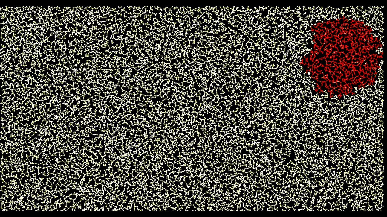 BFS Visualization | 20,000 vertices | Graph Traversal | Python | Pygame