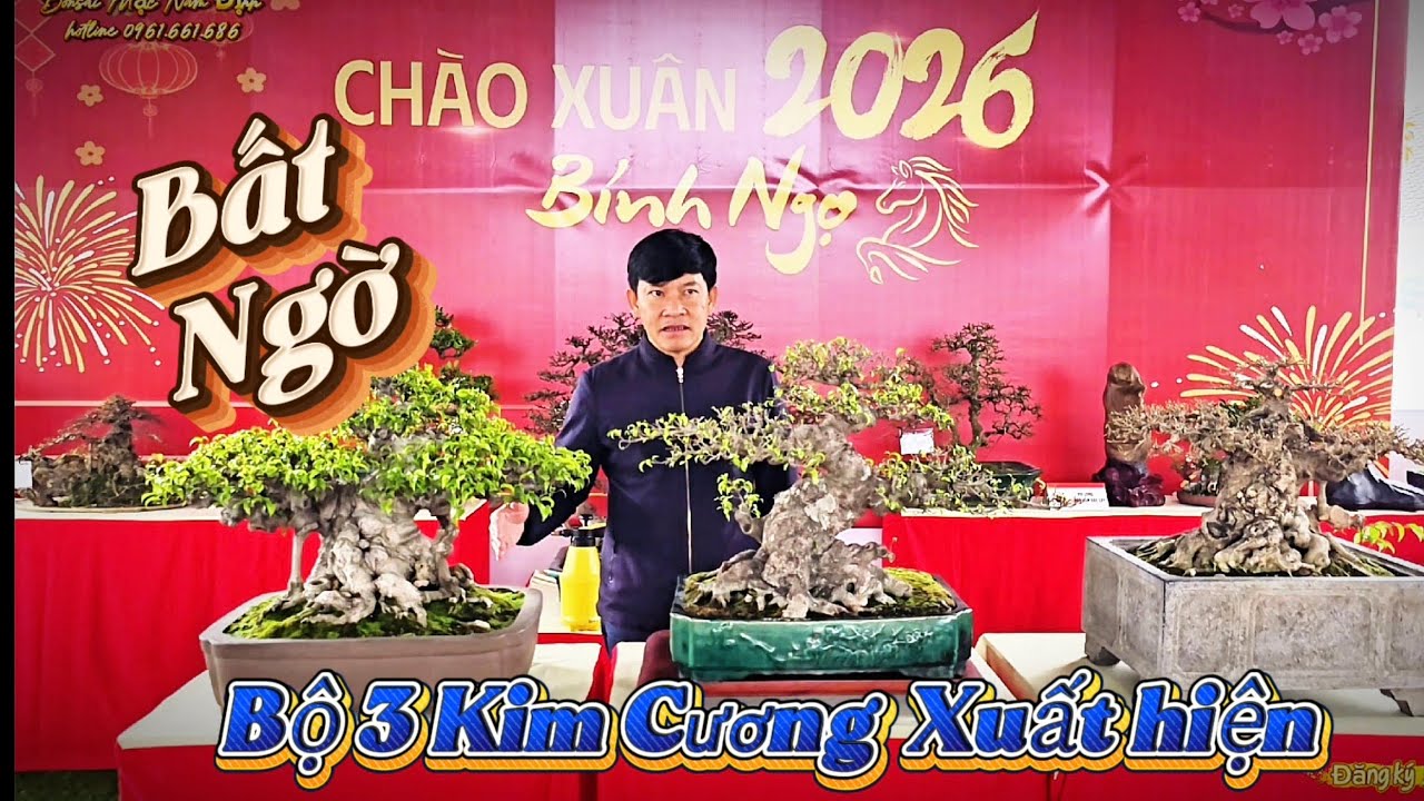 Bất Ngờ Bộ 3 kim cương bonsai anh Vinh mới sở hữu 