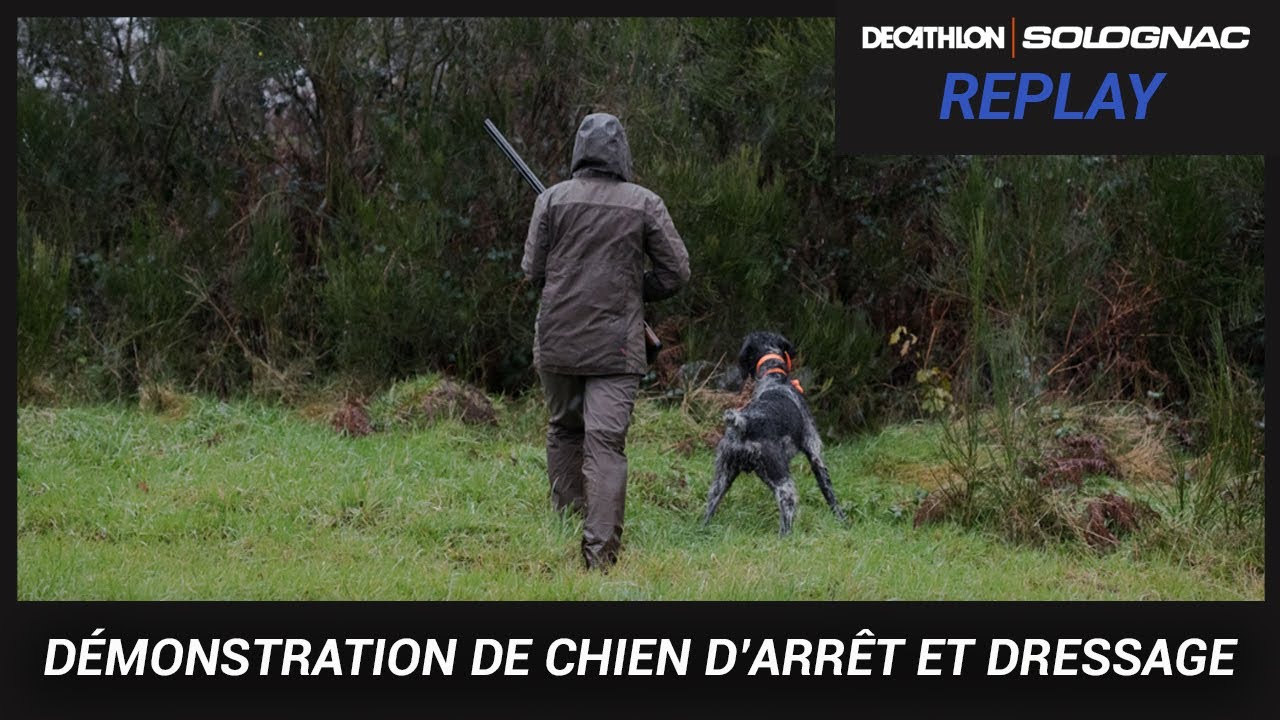 SALON DE LA CHASSE SOLOGNAC 2021 : PARLONS CHIENS D'ARRETS AVEC CYRIL
