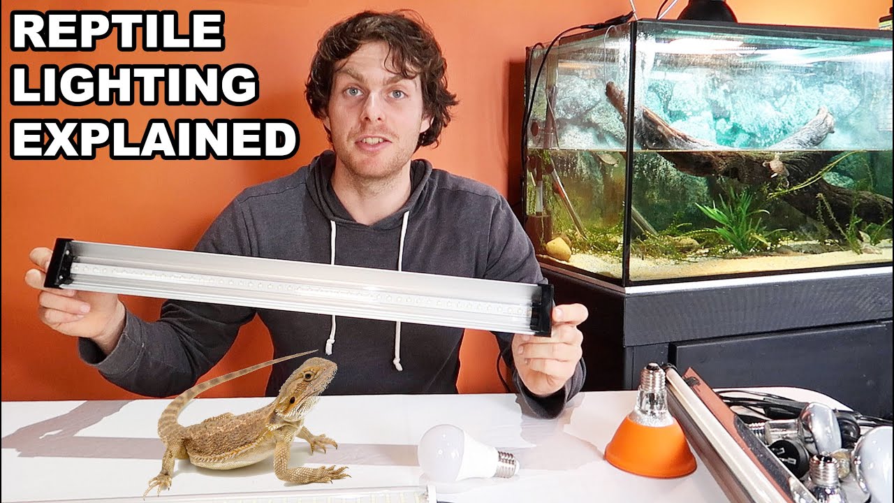 Reptile Lighting Explained and One HUGE Mistake You Need To Avoid