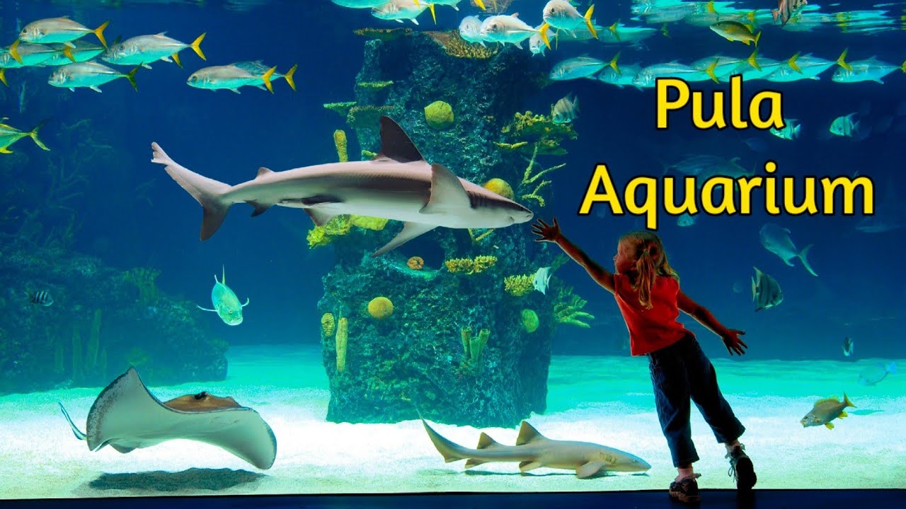 Aquarium Pula  🇭🇷  Croatia