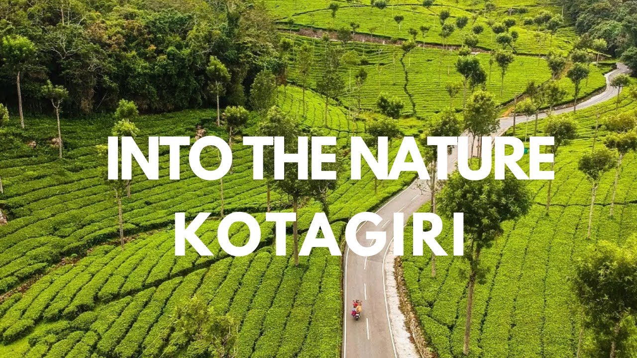 Котагири Нилгрис