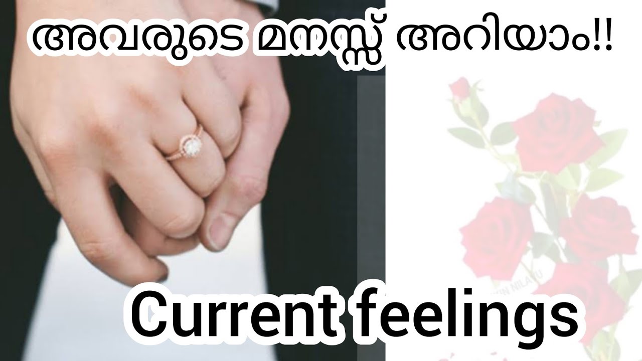 CURRENT FEELINGS OF YOUR PARTNER |നിങ്ങളുടെ പങ്കാളിയുടെ നിലവിൽ ഉള്ള Feelings|Timeless MalayalamTarot