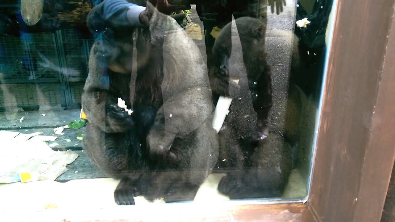 Big Monkey, Little Monkey Eating Together