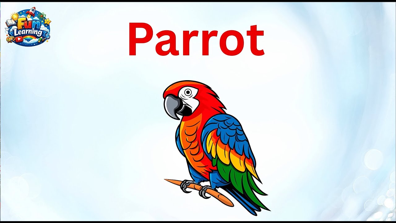 Letter P | Alphabet P | Phonics Letter | Kids ABCD Learning | ABC | Words starting from Alphabet P