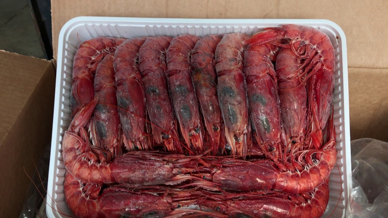 Il gambero rosso di Mazara